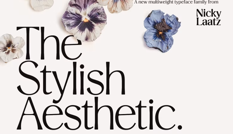 Stylish Aesthetic Font